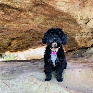 Meet your Posher, Connor